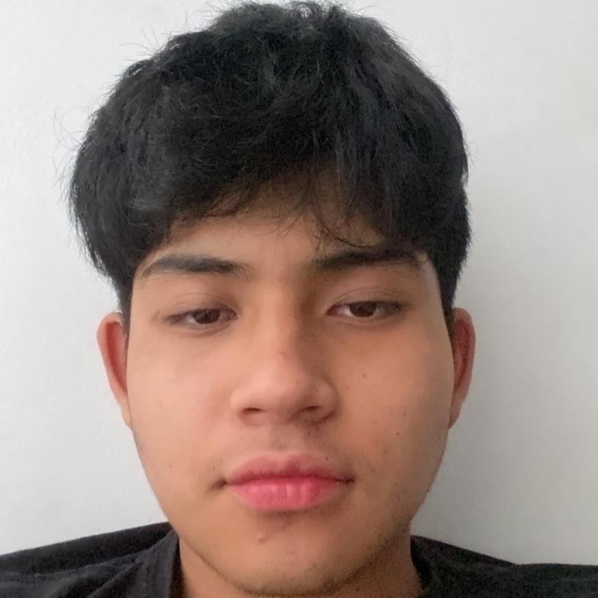 User Image