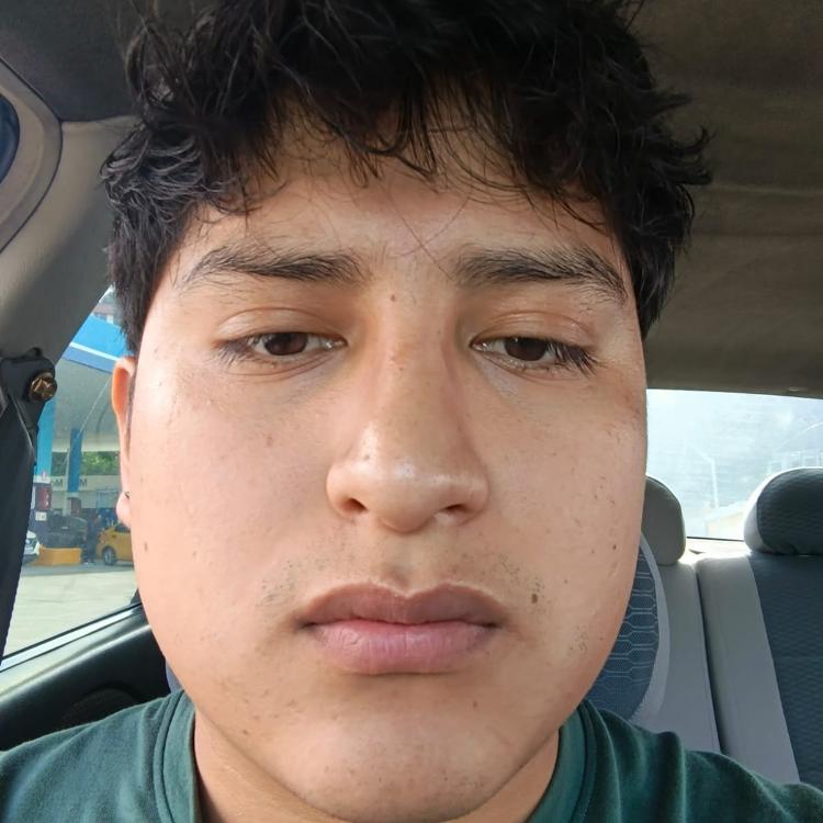 User Image